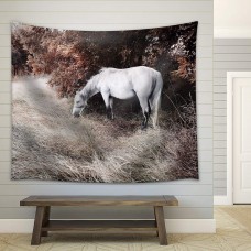 wall26 - White Horse - Fabric Wall Tapestry Home Decor - 68x80 inches   123310047181